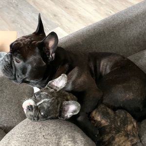 Meet your Posher, Jada